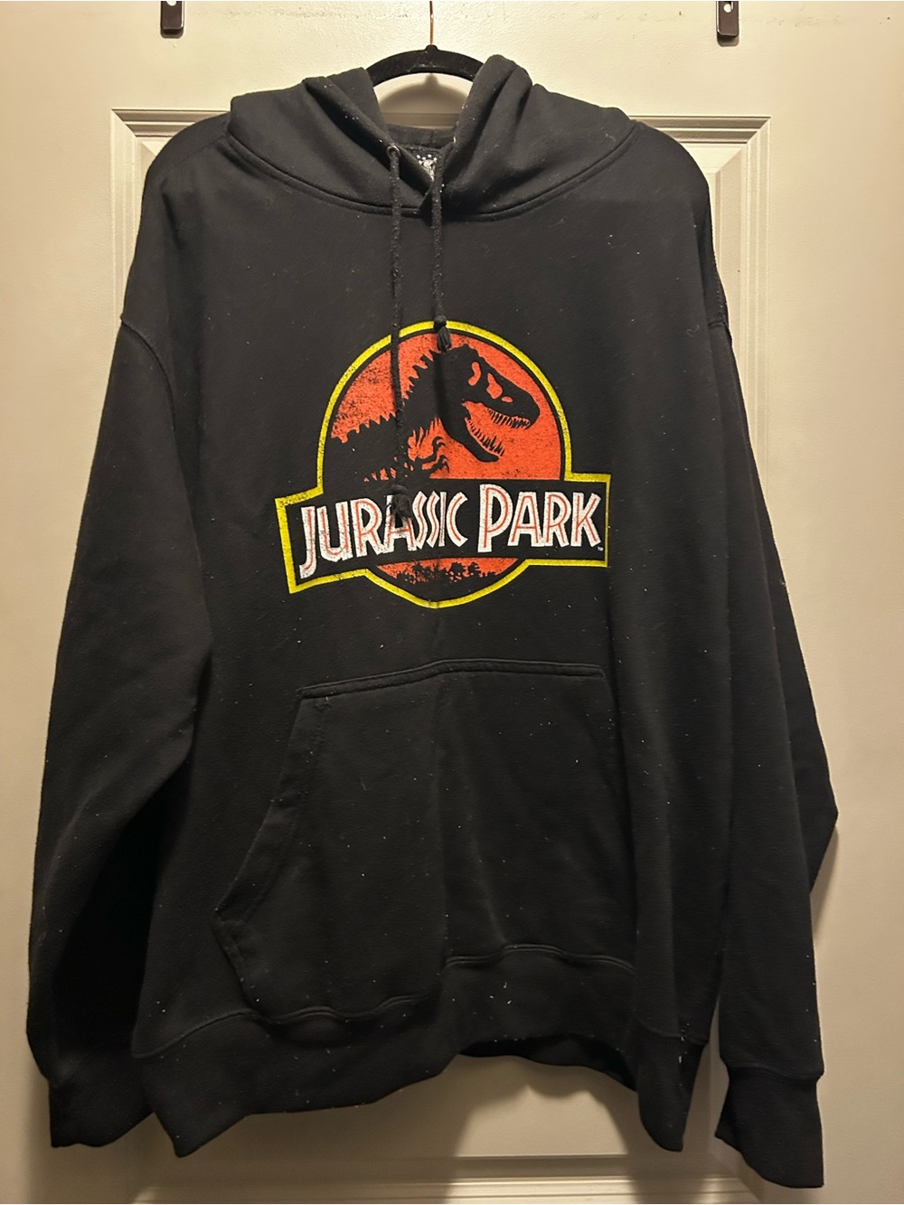 Black Graphic Jurassic Park Hoodie